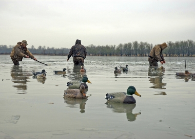 three hunters setting up decoys in the water