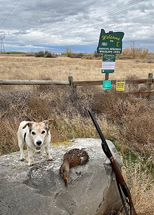 Coyote Springs duck hunt