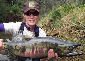ODFW biologist holding spawning chum salmon