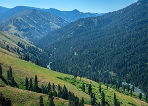 landscape view of Minam River flowing from Eagle Cap Wilderness