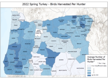2022 Spring Turkey Harvest Per Hunter