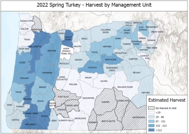 2022 Spring Turkey Harvest by Management Unit
