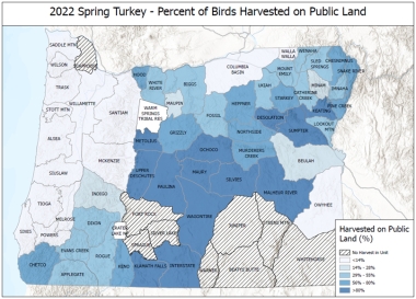 2022 Spring Turkey Harvested on Public Land