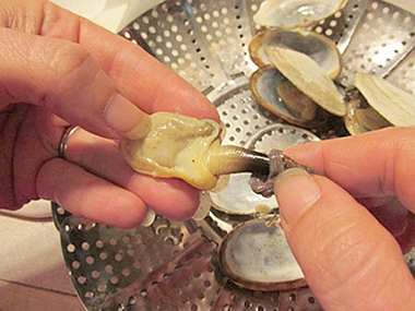 cleaning softshell clams