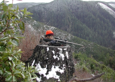 Young hunter balances rifle on large stump while taking aim