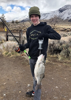 Odfw shop fishing report