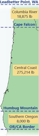 Oregon’s recreational halibut subareas and allocations.