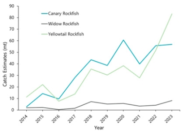 Catch estimates of primary longleader species from 2014-2023.