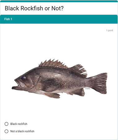 Black rockfish or not
