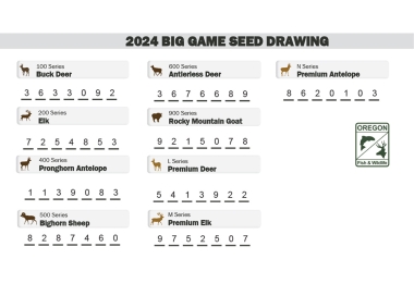 2024 Seed Drawing