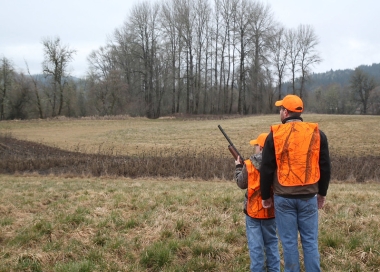 Mentored youth pheasant hunt