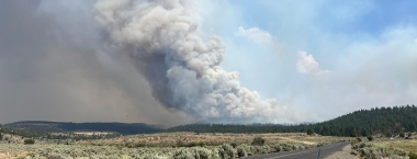 A large plume of gray smoke billows from a wildlife into the sky