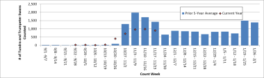 Summer Lake Swan counts