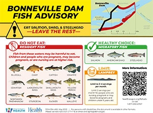 Bonneville fish advisory