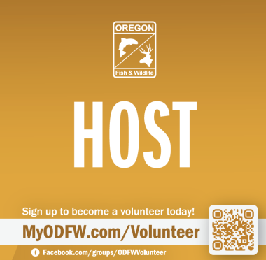 Volunteer_Host