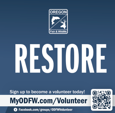 Volunteer_Restore
