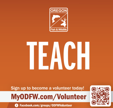 Volunteer_Teach