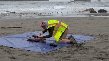 Offshore habitat UAV survey 2.jpeg