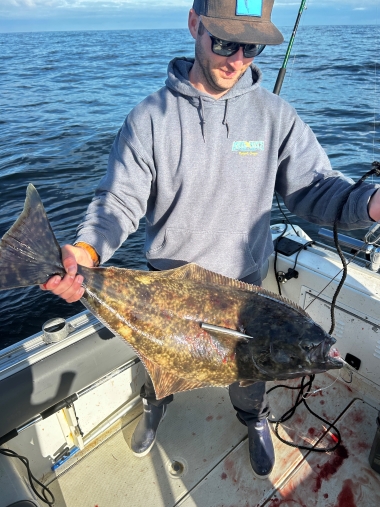Halibut catch