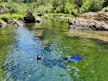 Umpqua steelhead snorkel survey.jpeg