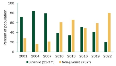 White Sturgeon population in John Day Reservoir.jpeg