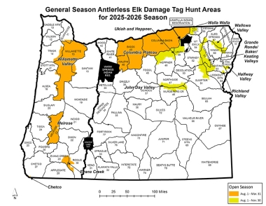 25-26_General_season_antlerless_elk_damage_tags_statewide.jpg