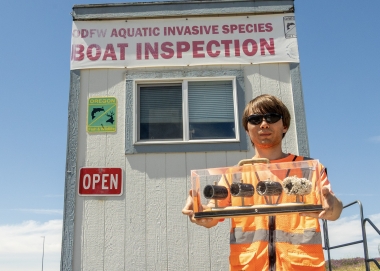 ODFW AIS staff holds a display of invasive mussels