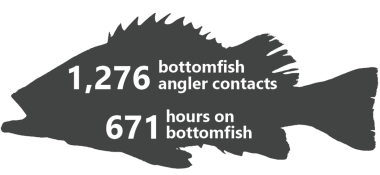 Bottomfish