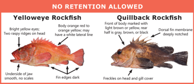 No Retention