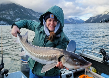 Sturgeon