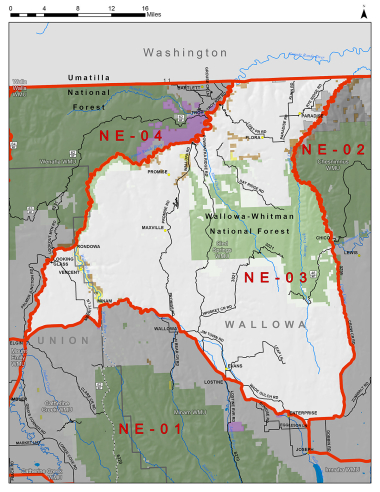 Northeast Hunt Area NE-03