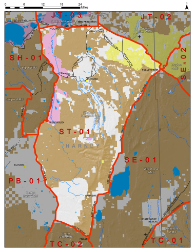 Steens Hunt Area ST-01