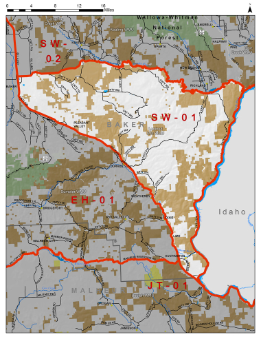 South Wallowas Hunt Area SW-01