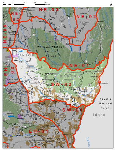 South Wallowas Hunt Area SW-02