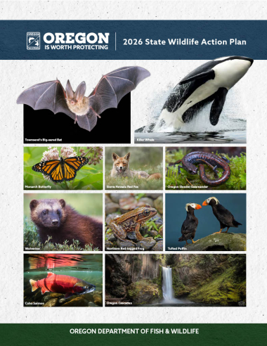 2026 State Wildlife Action Plan Cover