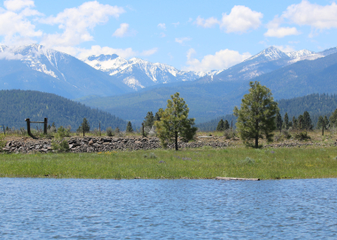 Starkey, Catherine Cr, Keating landscape