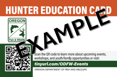 HSE replacement card example