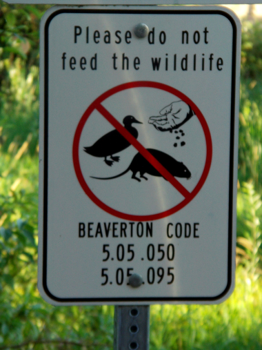 Don't feed the nutria