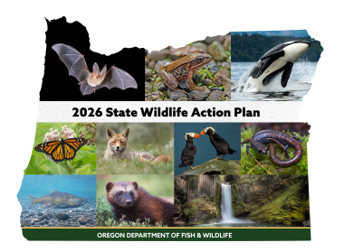 2026 State Wildlife Action Plan Graphic in Oregon outline