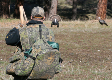 turkey hunt adult_calling.jpg