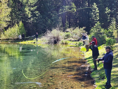Fly fish casting