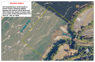 Columbia River closure at Tanner Creek.png