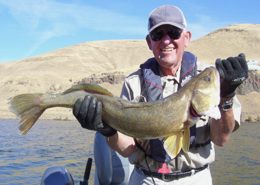 walleye_31_inch_tom_nelson_or_bass_and_panfish_club