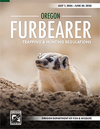 Fur_regs_pic