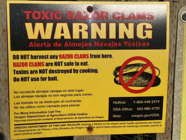 Toxic Razor Clams Warning