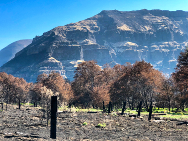 ChukarWildfire1_Tim_Akimoff