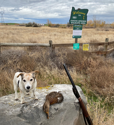 1032_hotm_chica_Coyote Springs_dog_duck
