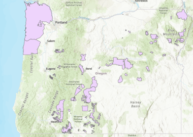TMA_map