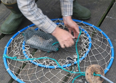 How to crab  Oregon Department of Fish & Wildlife