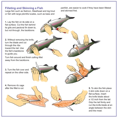 easy way to fillet a fish